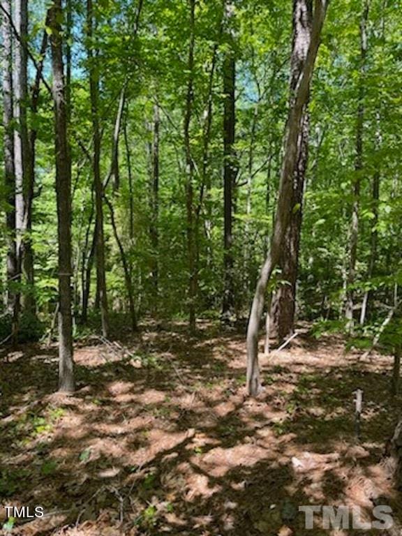 248 Rawhide Dr, Louisburg NC, 27549 land for sale