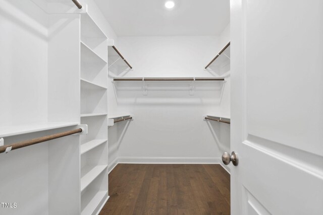 walk in closet with dark hardwood / wood-style flooring