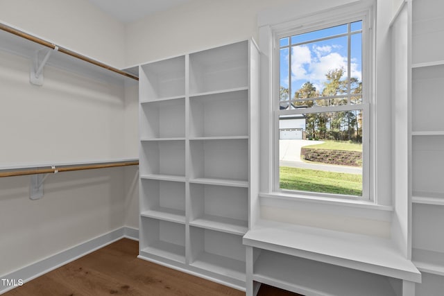 spacious closet featuring dark wood-type flooring