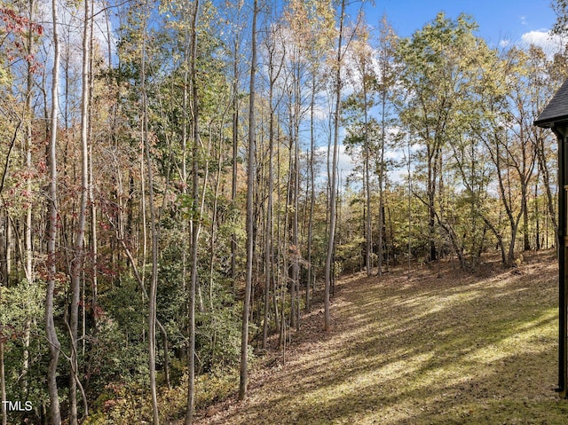 view of local wilderness