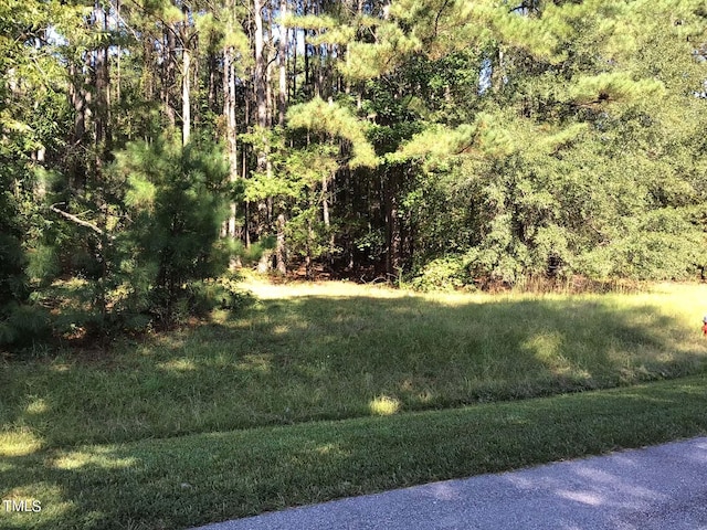 Listing photo 3 for 01 Crosslink Dr, Angier NC 27501