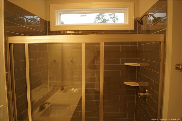 full bath featuring a wealth of natural light and a stall shower