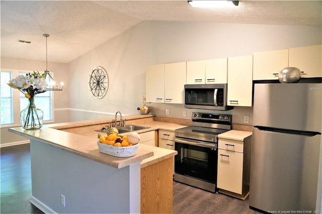 kitchen featuring sink, dark wood-type flooring, stainless steel appliances, and vaulted ceiling