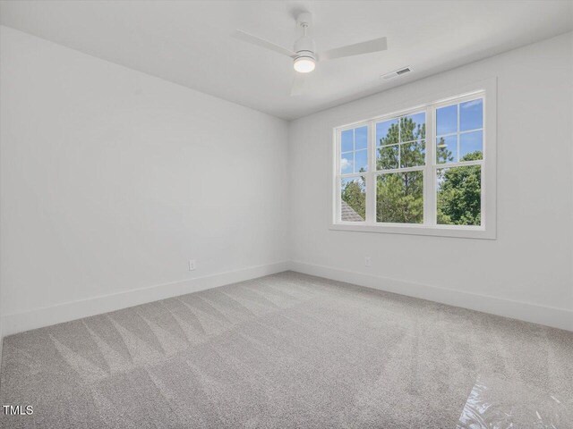 95 Colonial Trail Ct, Pittsboro, NC 27312 - photo 55