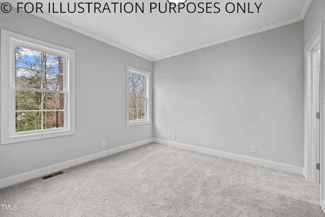 spare room featuring light carpet and ornamental molding