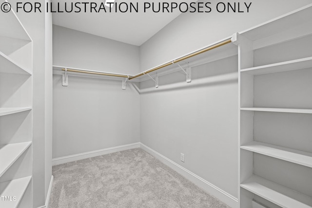 spacious closet with light carpet