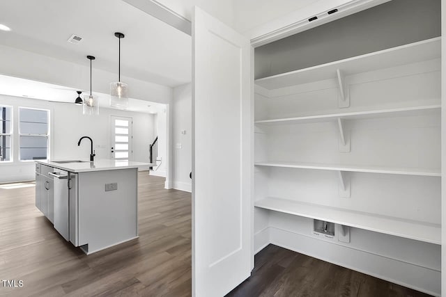 kitchen with dishwasher, sink, dark hardwood / wood-style flooring, and decorative light fixtures