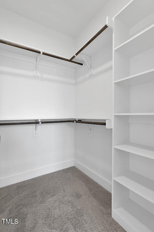 spacious closet with carpet floors