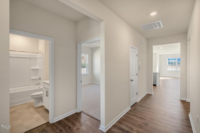 corridor with wood-type flooring and a wealth of natural light