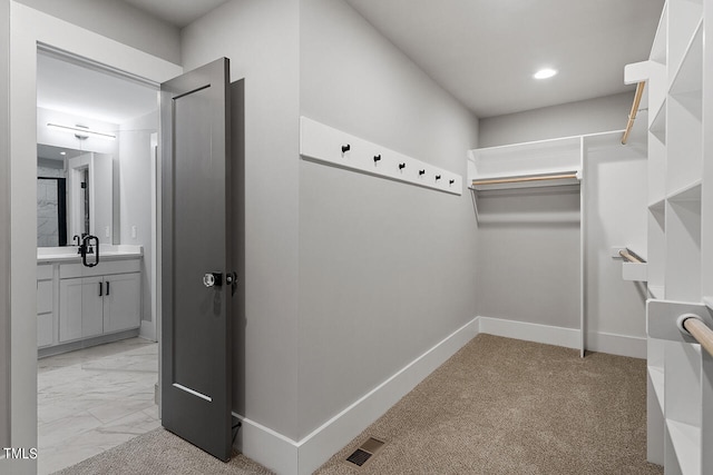 walk in closet with light carpet