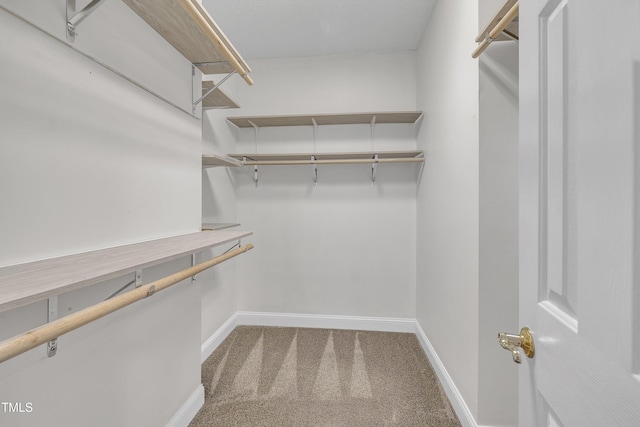 walk in closet featuring carpet flooring