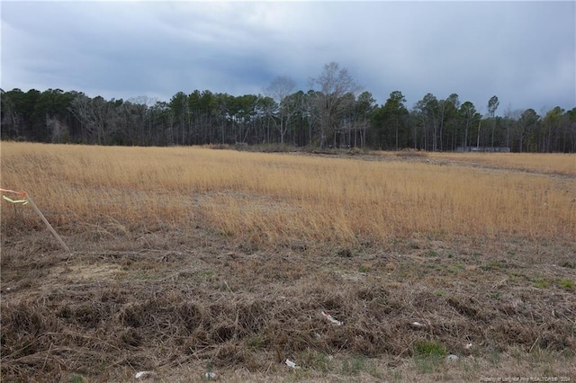 TRACT3 Odum Rd, Lumberton NC, 28358 land for sale