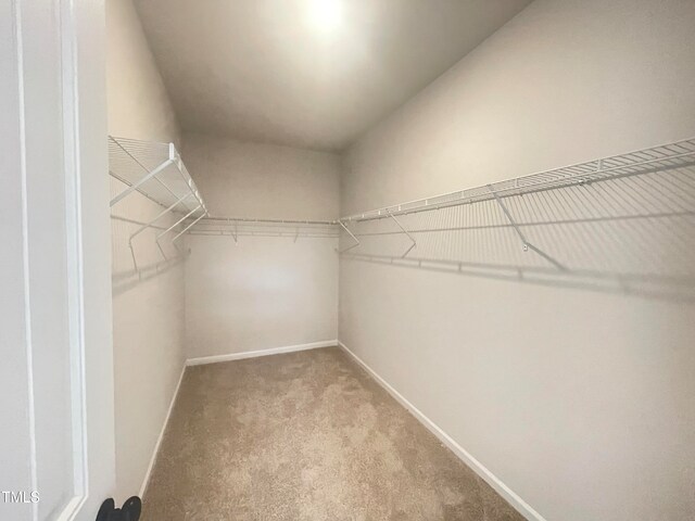 spacious closet with carpet flooring