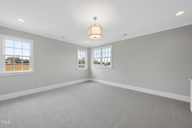 spare room with ornamental molding and carpet