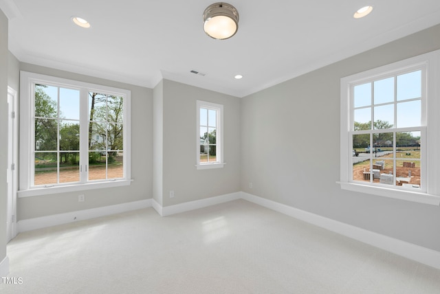 carpeted spare room featuring plenty of natural light and crown molding