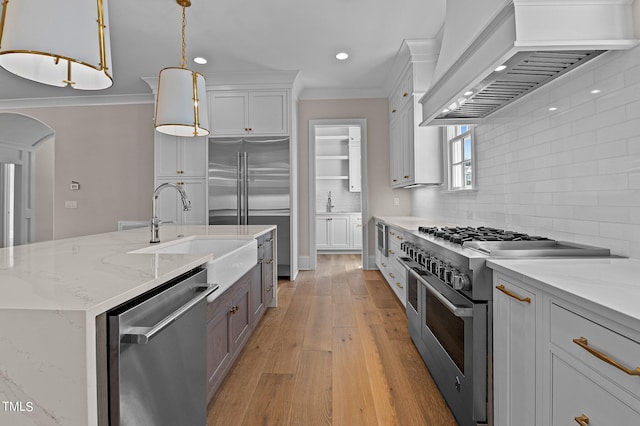 kitchen featuring light hardwood / wood-style flooring, ornamental molding, custom range hood, high quality appliances, and tasteful backsplash