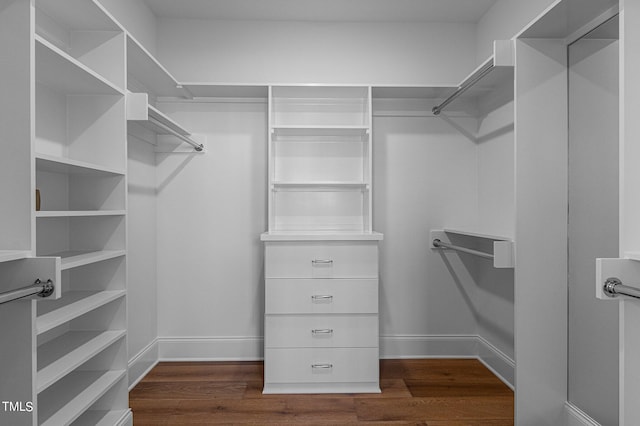 spacious closet featuring dark wood-type flooring