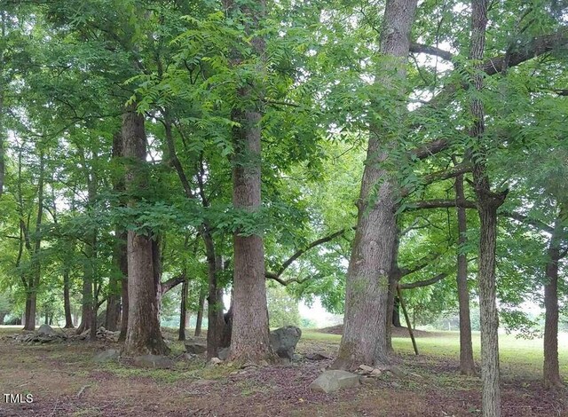 923 Arthur Minnis Rd, Hillsborough, NC 27278 - photo 5