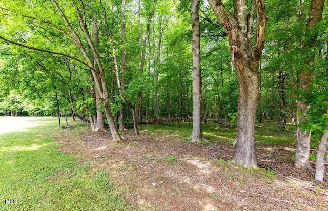 923 Arthur Minnis Rd, Hillsborough, NC 27278 - photo 6