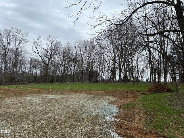 923 Arthur Minnis Rd, Hillsborough, NC 27278 - photo 12