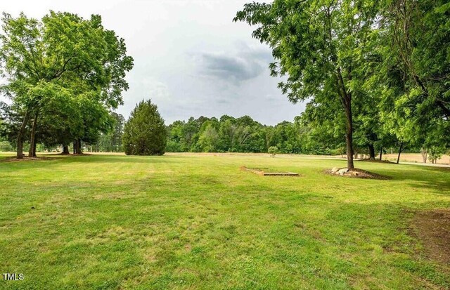 923 Arthur Minnis Rd, Hillsborough, NC 27278 - photo 14