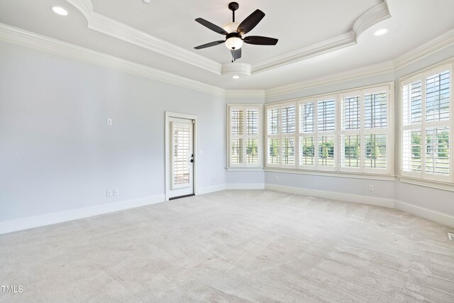 carpeted spare room featuring ceiling fan, a raised ceiling, and ornamental molding