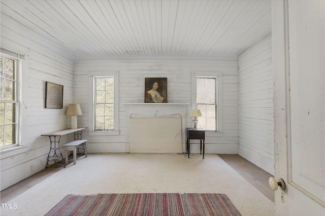 miscellaneous room with wood walls, vaulted ceiling, wood ceiling, and a wealth of natural light