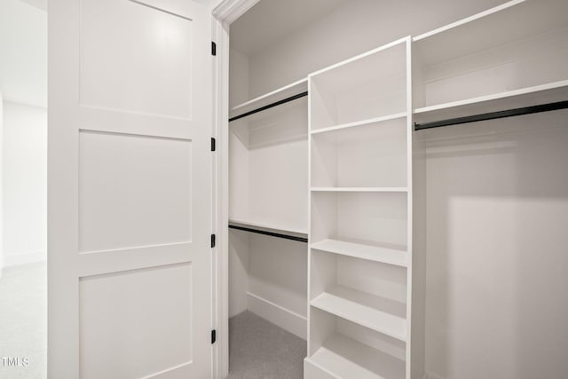 view of closet