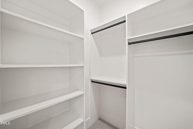 view of spacious closet