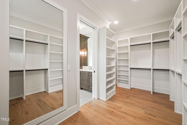 walk in closet with hardwood / wood-style flooring