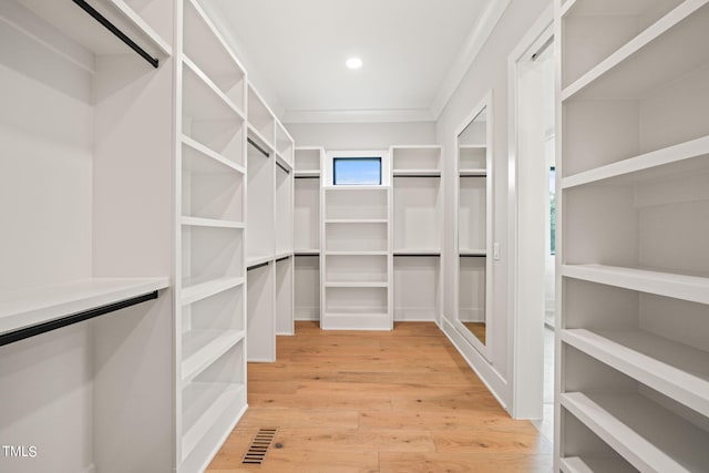 walk in closet with hardwood / wood-style floors