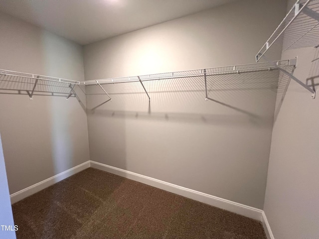 spacious closet featuring carpet