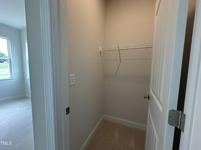 clothes washing area featuring carpet flooring