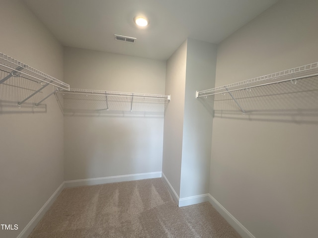 walk in closet with carpet flooring