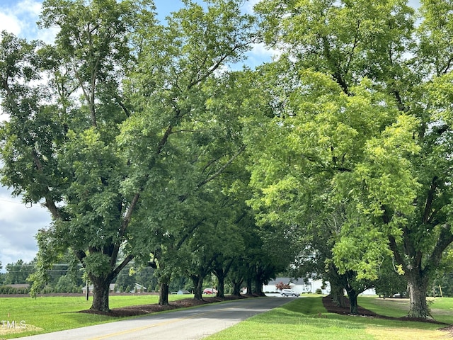 view of property's community featuring a yard