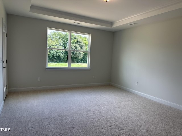 carpeted spare room featuring a raised ceiling