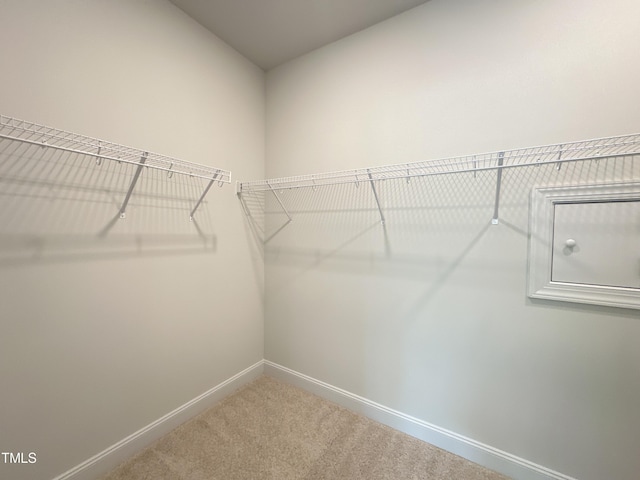 spacious closet with carpet