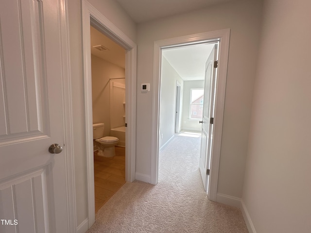 hallway with carpet