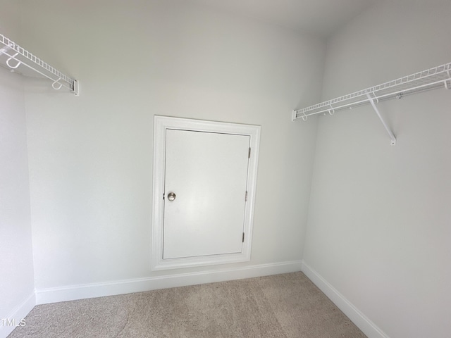 walk in closet with light carpet