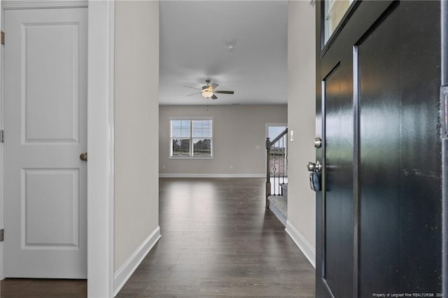 corridor with dark hardwood / wood-style floors