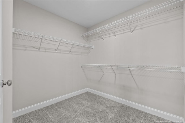 walk in closet featuring carpet flooring