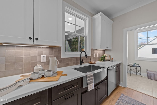 kitchen featuring sink, dark brown cabinets, stainless steel dishwasher, and white cabinets
