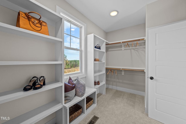 walk in closet with light carpet