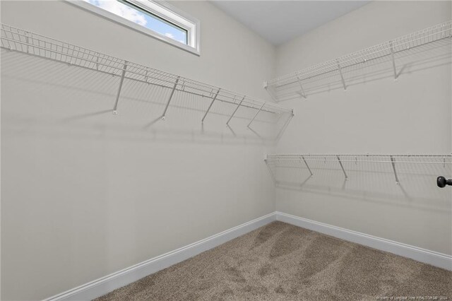 127 Hillwood Dr, Sanford, NC 27332 - photo 28