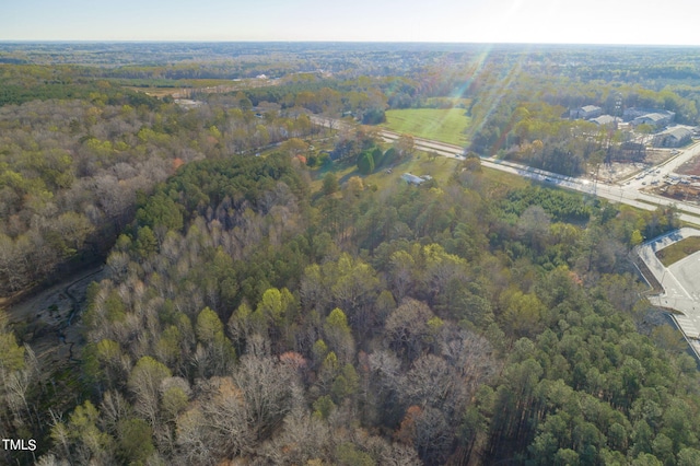 view of bird's eye view