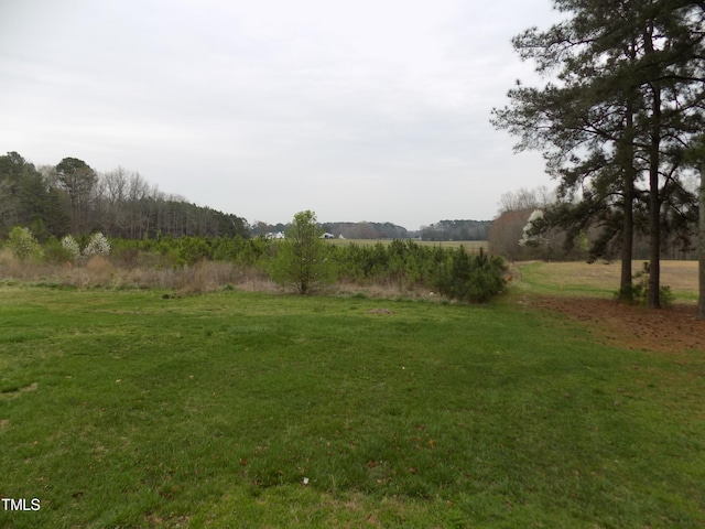 Listing photo 3 for 0 T-Model Jones Rd, Castalia NC 27816