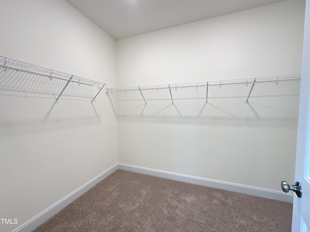 walk in closet with carpet flooring