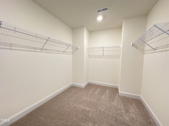 spacious closet featuring carpet floors and visible vents