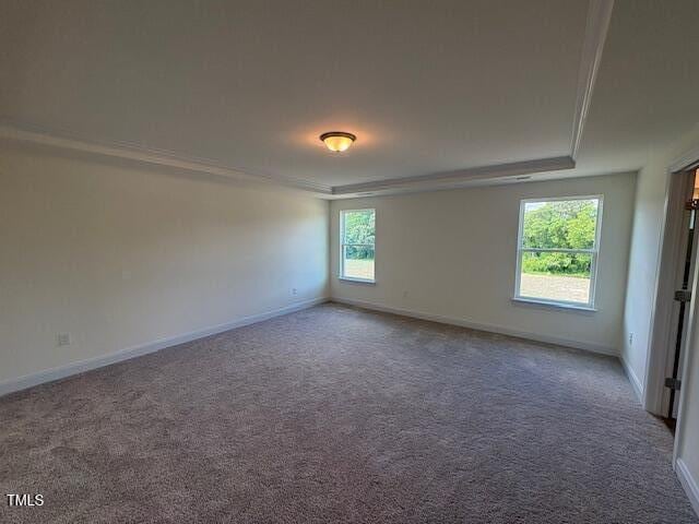 123 Sage Ln Unit 010, Four Oaks, NC 27524 - carpeted spare room featuring baseboards and ornamental molding