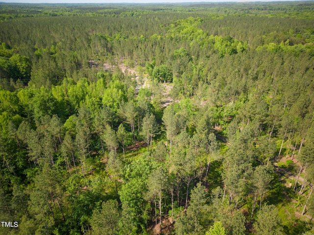 0 Old Roxboro Rd, Oxford, NC 27565 - photo 6